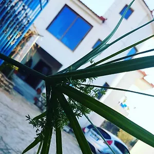 Hena Sarandë